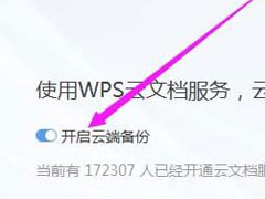 wps怎么开启云端备份？wps2019开启云端备份的方法！