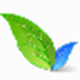 Boxoft Flash Package Builder(flash转换工具) V1.5 官方版