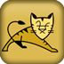 Tomcat 10 V10 绿色安装版