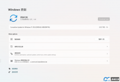 微软Win11 Insider Preview 10.0.22000.65（co_release）下载地址！