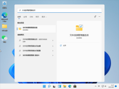 Win11怎么查看文件的后缀名？Win11显示文件后缀名的方法