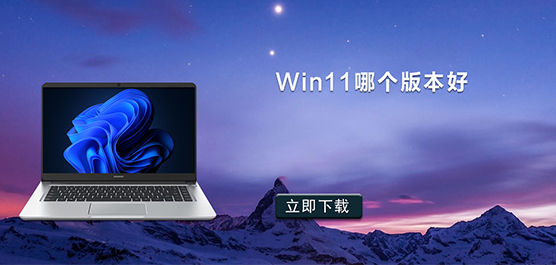 Win11哪个版本好-Win11装哪个版本-Win11版本下载大全
