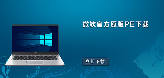 微软官方原版PE下载