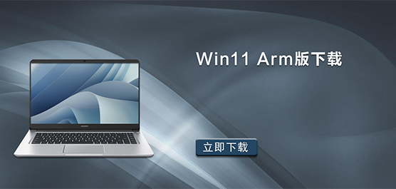 Win11 arm版下载_Win11 arm x64版