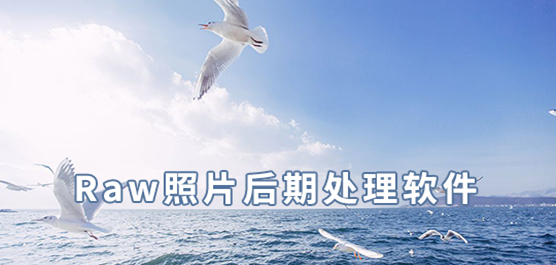 RAW照片处理软件