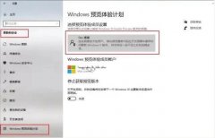 如何抢先更新win11 Windows 11抢先更新完全免费
