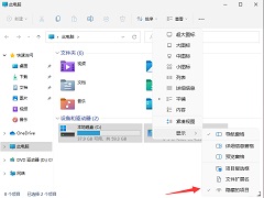 Win11怎么查看隐藏文件和文件夹？Win11显示隐藏文件的操作步骤