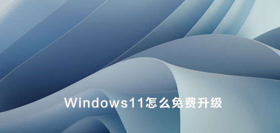 Windows11怎么免费升级？