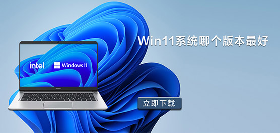 Win11 系统哪个版本最好-功能最全的 Win11 版本下载