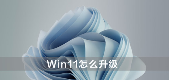 Win11怎么升级_Win11怎么升级最好_