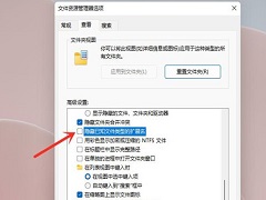 Win11如何修改文件后缀名？Win11怎么显示后缀名？