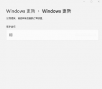 大量用户升级Win11 22494.1000后Windows更新空白！