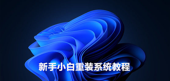 电脑怎样自己重装系统