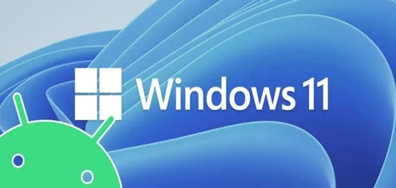 Win11正式版怎么安装安卓Apk