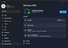 微软最新Win11 Build 22000.348 (KB5007262)测试版发布！