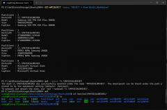 Windows11的 Linux 子系统（WSL 2）已支持直接挂载Linux磁盘