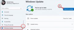 Win10中的文件系统错误-805305975怎么解决？