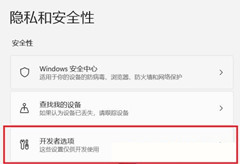 Win11怎么开启开发者选项？Win11打开开发人员选项教程