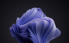 微软 Windows11/Windows10 主题“2022 年度彩通色”免费下载