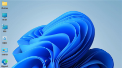 Win11怎么搜索WiFi密码？Win11搜索WiFi密码教程