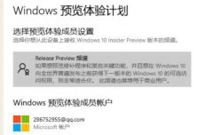 Win11选择dev渠道和beta渠道哪个升级比较好？