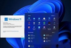 Win11显卡不支持dx12怎么办？