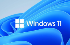 Win10专业版可以直接升级成Win11专业版吗？