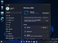 微软Win11 Build 22607.1(ni_release) Dev/Beta版本来啦！完整更新内容一览
