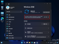 微软Win11 Build 22611.1(ni_release) Dev/Beta版发布！