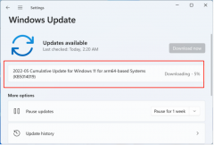 微软发布Win11 KB5014019(22000.708)更新 修复应用程序崩溃、复制缓慢问题