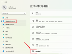 三指触控怎么设置？Win11三指触控设置教程