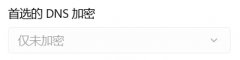 Win11无法DNS加密？Win11首选的DNS加密无法选择的解决方法