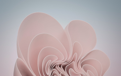 Win11哪个版本最流畅稳定？Win11最稳定的版本下载