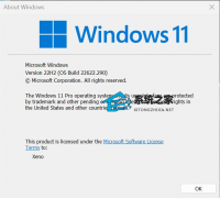 微软最新Win11 Insider Preview 22622.290 (ni_release)测试版发布！