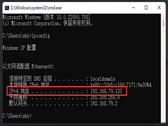 Win11IP地址在哪里看？Win11查看本机IP地址的方法
