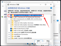 如何安装.net framework？Win11安装net framework的方法