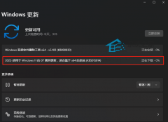 微软最新Win11 KB5015814(22000.795)补丁来啦！