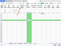 WPS表格十字定位怎么弄？WPS表格怎么设置定位单元格的十字？