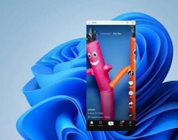 Win11安卓软件怎么装? Win11运行安卓软件的方法分享