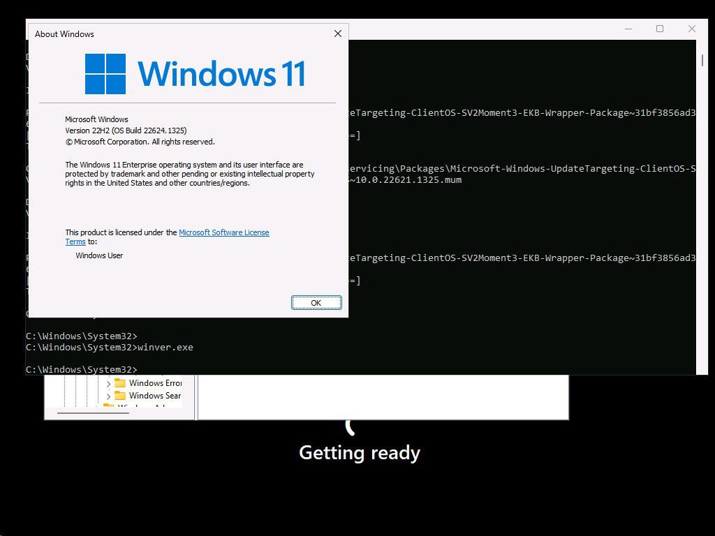 预计今年 5 月推出！Win11 Moment 3 新图片曝光
