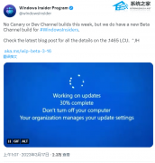 微软称本周无Win11 Dev或Canary新预览版本推送！