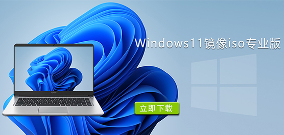 Windows11镜像iso专业版下载-Win11官方iso镜像免费下载