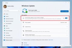微软Win11 Beta 22635.2552(KB5031448)十月更新！新增系统组件页面
