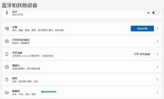 Win11怎么设置触摸板手势？触摸板手势设置方法