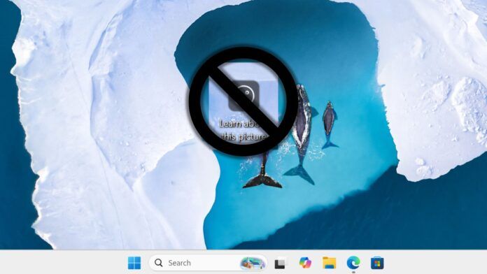 移除 Windows 11 Spotlight 壁纸“了解有关此图片的更多信息”图标