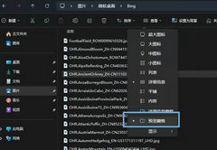 Win11文件预览怎么设置-Win11开启文件预览功能的方法
