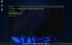 Windows11电脑硬盘类型的查看方法