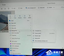 微软测试 Win11 文件管理器搜索优化！减少磁盘读写、降低内存占用