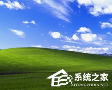 2001 遇上 2021！WinXP 壁纸遇上 Win11 的创意之作