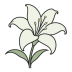 花笺 Floral（轻量级本地便签工具）V1.0.3 最新版